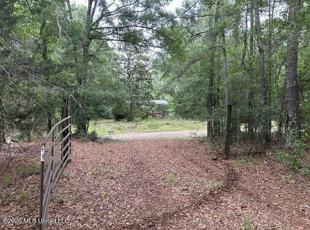 301 Freeman Road, Summit, MS 39666