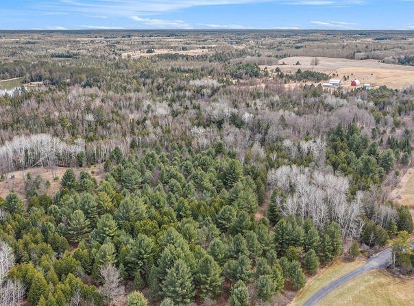 4334 Lehman Road, EdwardsTownship_Ogemaw, MI 48661