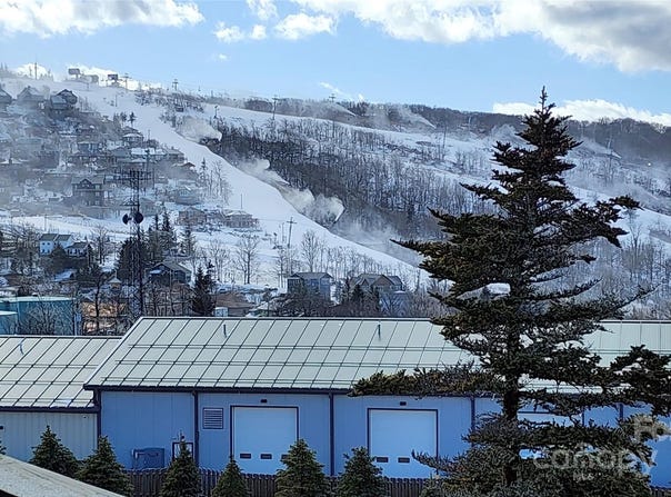 301 Pinnacle Inn Road, Beech Mountain, NC 28604