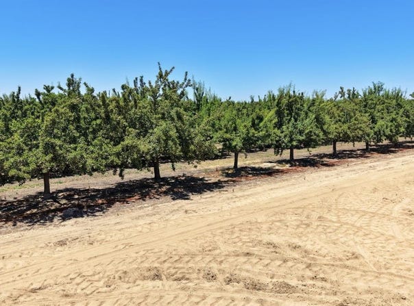 S Willow Avenue, Fresno, CA 93725