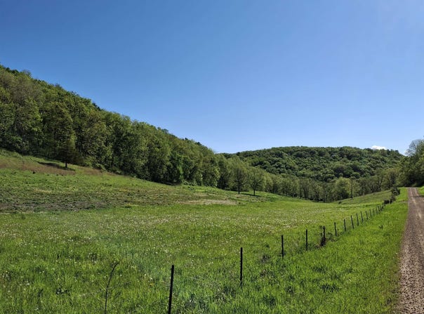40 Acre Lot Walnut Lane, Richland Center, WI 53581