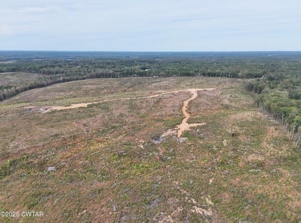 Luther Ingle Road, Ramer, TN 38367