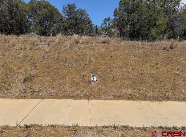 39 Salt Brush Street, Durango, CO 81301