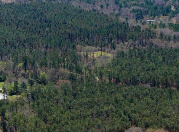 Attala Rd 4213, Sallis, MS 39160