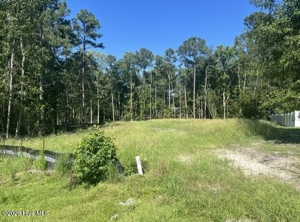 306 Joans Ridge lot: 33, Stella, NC 28582