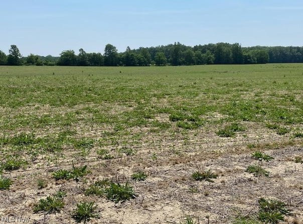 VL TWP RD 165, Marengo, OH 43334
