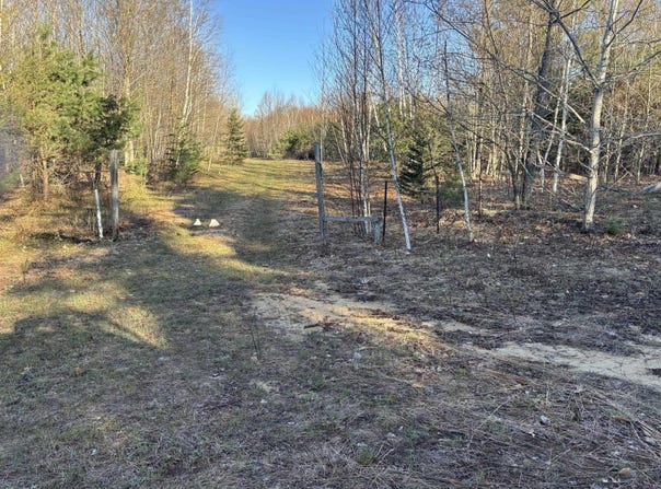 Forward, Lake City, MI 49651