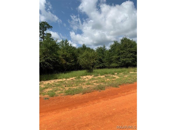 Deer Loop lot: 16, Camden, AL 36726