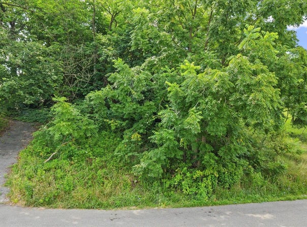 1616 W POPLAR TERRACE, YORK, PA 17404