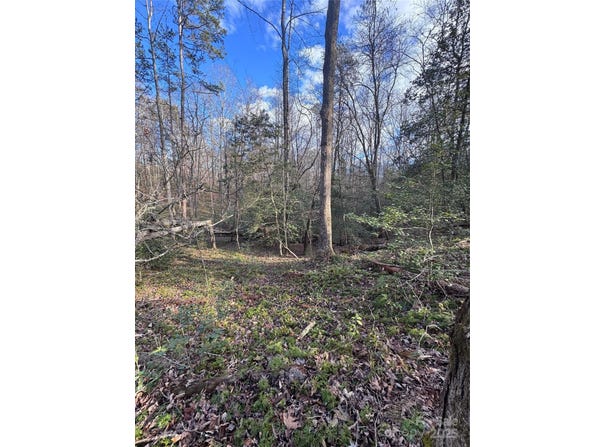 Hearthstone Drive unit: 70, Union Mills, NC 28167
