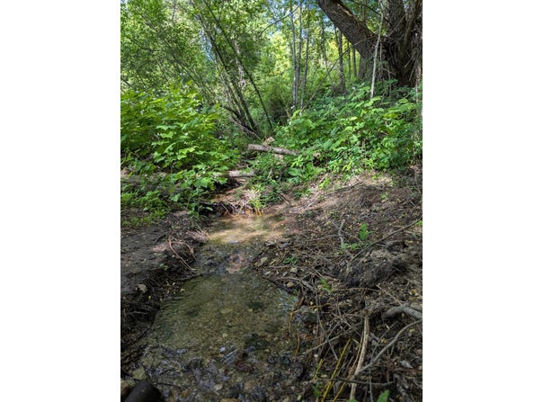 29511 SCHWACHTGEN RD, CHATTAROY, WA 99003