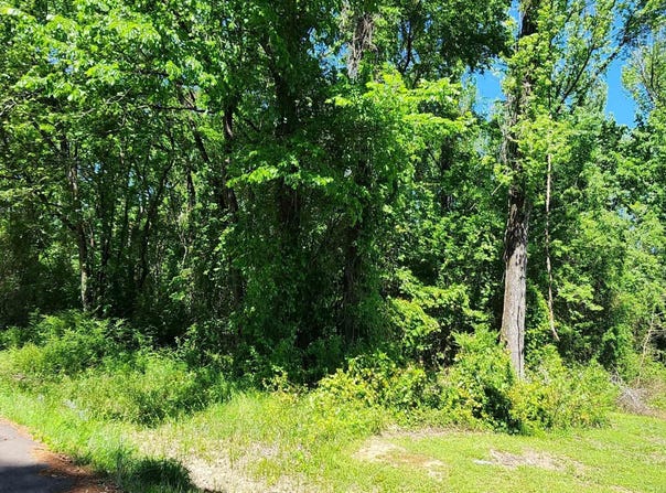 Russellville, AR 72802
