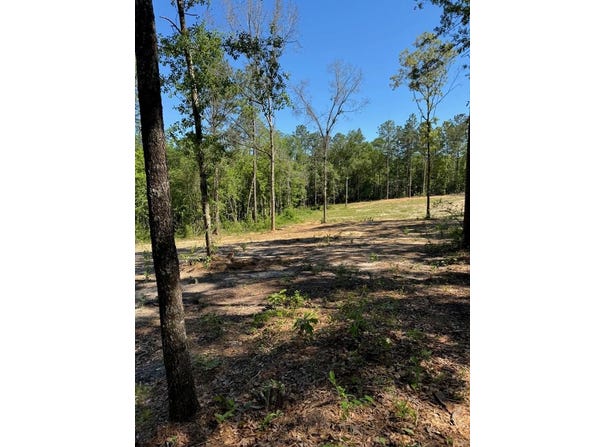 619 Lakeside Dr., Carriere, MS 39426