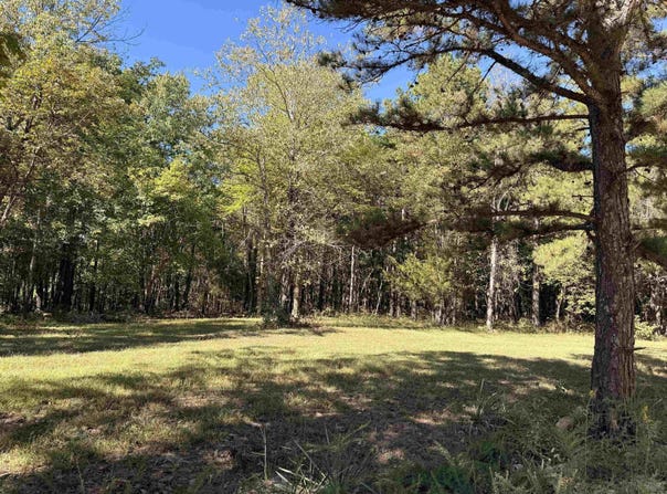 Thomas Road, Clinton, AR 72031