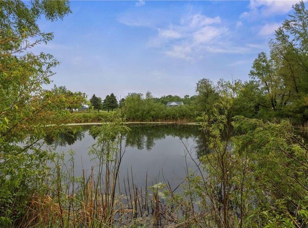 970 Acacia Drive S, Annandale, MN 55302