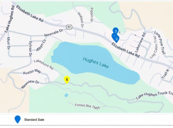 Newview Dr Vic Austin Wa, Lake Hughes, CA 93532