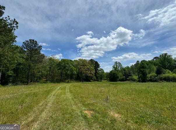 2331 Hollonville Road, Brooks, GA 30205