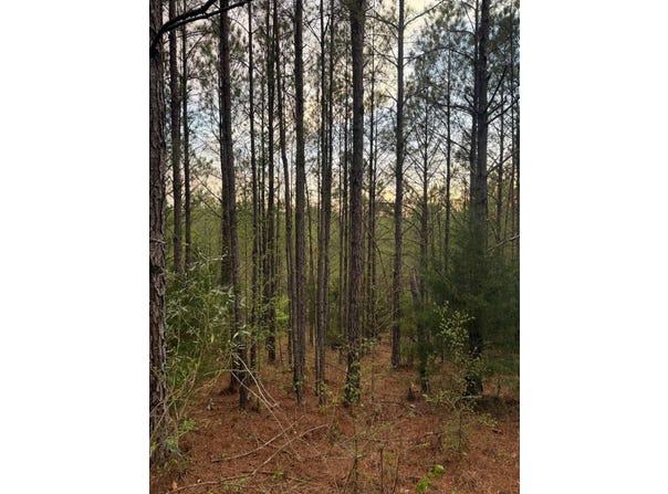 00 Virg Road, Preston, MS 39354