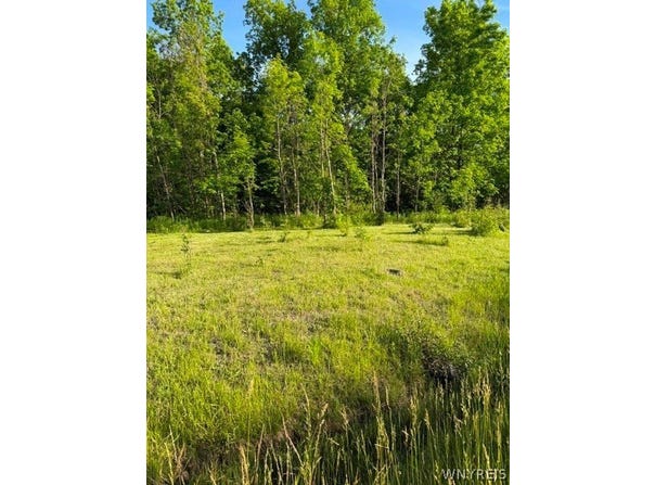 Lake Shore Road N, Hamburg, NY 14075