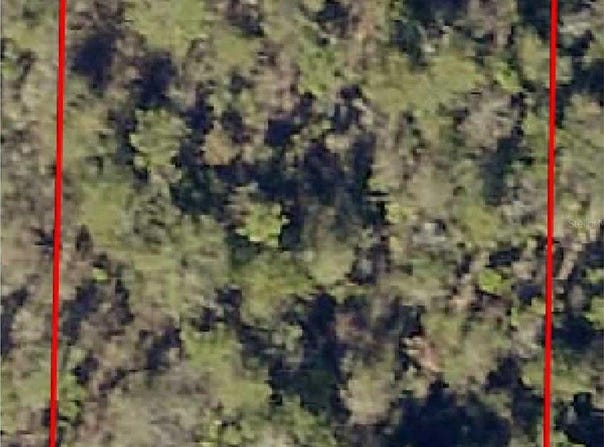 MANOR BOULEVARD, FOUNTAIN, FL 32438