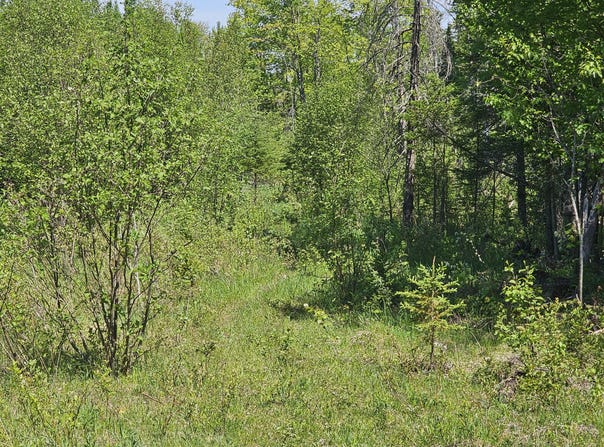 (B) Gager Rd, Engadine, MI 49827