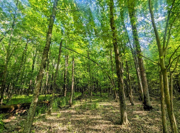 S Badger Lane, Arkdale, WI 54613