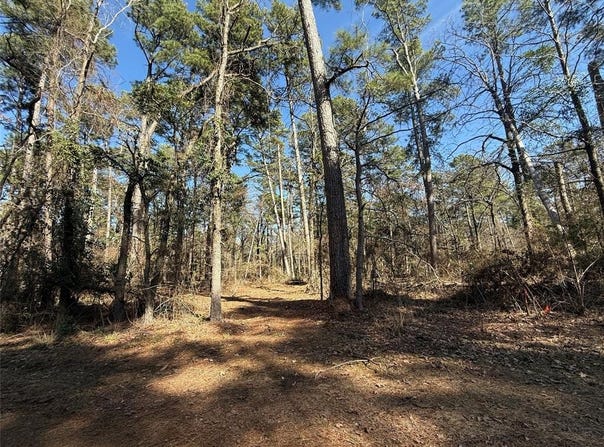 Lot 2 Private Road 8573, Winnsboro, TX 75494