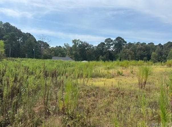20301 Cole Lane, Little Rock, AR 72206