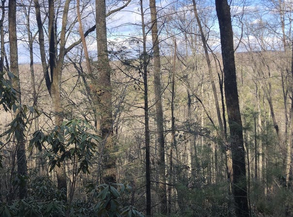 450 Holder Cemetery Rd, Tellico Plains, TN 37385