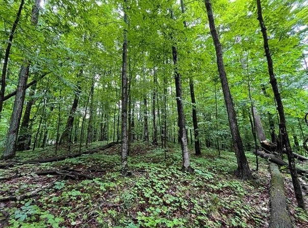 LOT 9 STACEYWOOD CIRCLE, CUSTER TWP, MI 49615