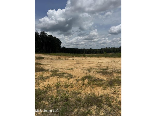 Wire Road, Pelahatchie, MS 39145