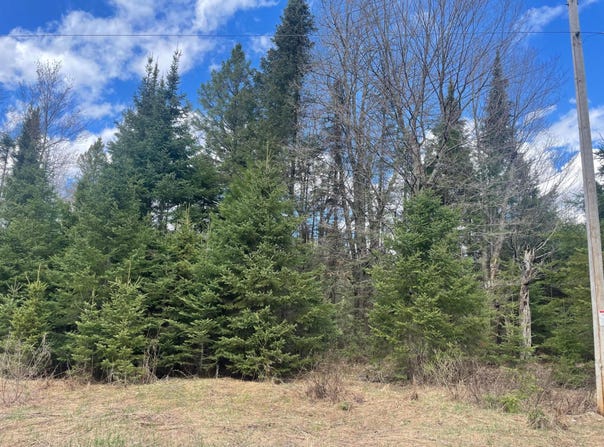 ON POCIASK RD, Butternut, WI 54514