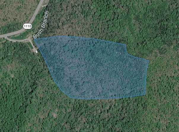 Bushes Branch, Jackson, KY 41339