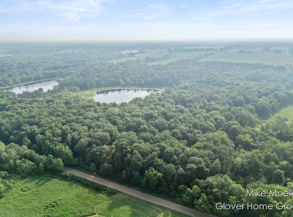 V/L 40 Ac S Brown Road, Sheridan, MI 48884