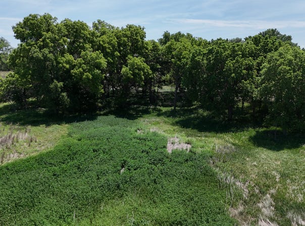 TBD 2500 Rd, Jennings, KS 67643