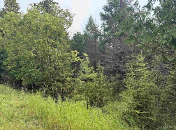 TBD County 503 CC, Rapid River, MI 49878