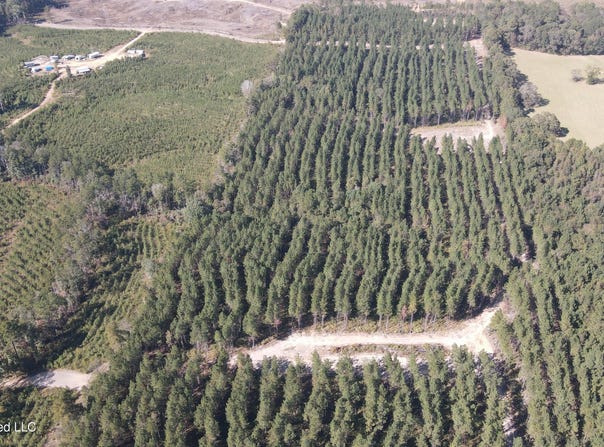 Loyd Irby Road, Pelahatchie, MS 39145