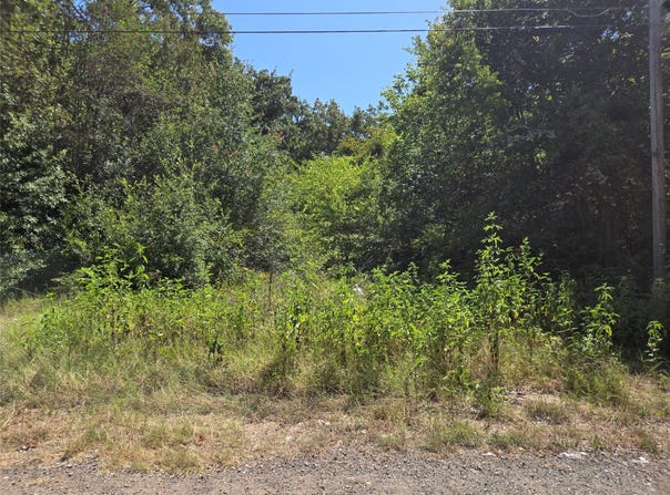 194 Coahoma, Mabank, TX 75156