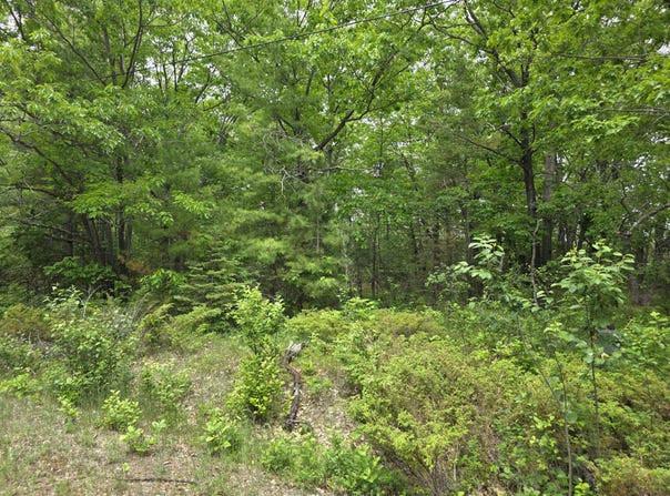 Balsam Circle lot: 470, 471 & 472, Presque Isle, MI 49777
