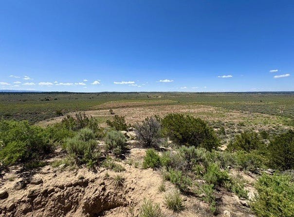 163 CR 402, Lindrith, NM 87029