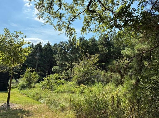 10.0 ac CR 817, Nacogdoches, TX 75964