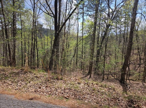 135 Adair Drive, Ranger, GA 30734