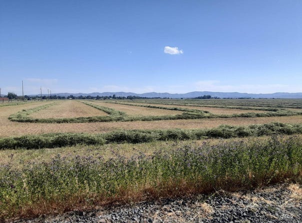 Tbd Soldier Rd Ih Lot2, Fairfield, ID 83702
