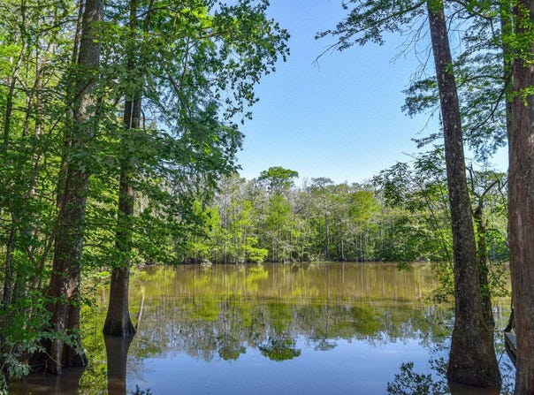 Riverside Road, Springfield, LA 70462