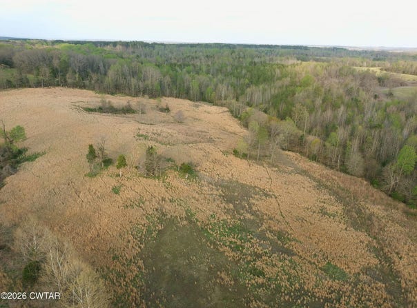 Highway 114, Hollow Rock, TN 38342