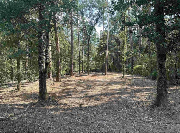 1.39 Acres Hood Rd, Denham Springs, LA 70726