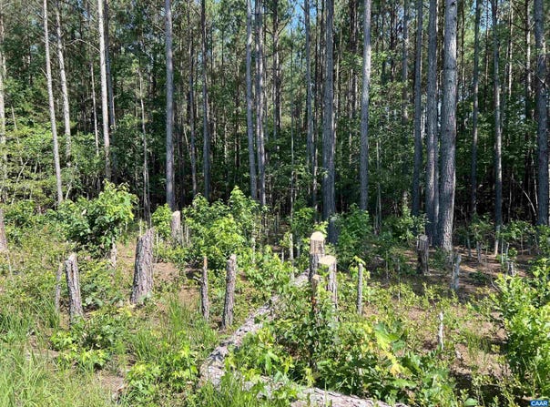 Lot 6 RICHMOND RD, Amelia Court House, VA 23002