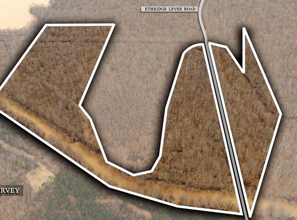 0 Ethridge Levee Road, Greenfield, TN 38230