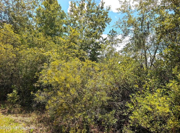 SE 92ND Street, Starke, FL 32091