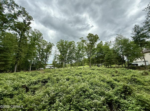 ROADARMEL Lane, Paxinos, PA 17860